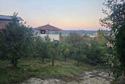 فروش زمین باغ شمال ۲۹۰ متر بابل بابلکنار روستای سیدکلا