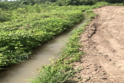 فروش زمین مسکونی گیلان ۲۰۰ متر سنگر روستای پیش کنار