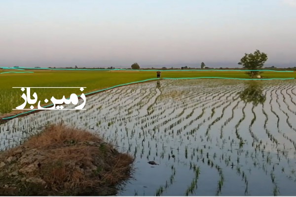 فروش زمین کشاورزی شمال ۱۵۰۰۰ متر کیاکلا روستای سوخت آبندان-1