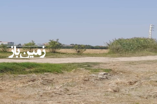 فروش زمین کشاورزی شمال ۱۵۰۰۰ متر کیاکلا روستای سوخت آبندان-4