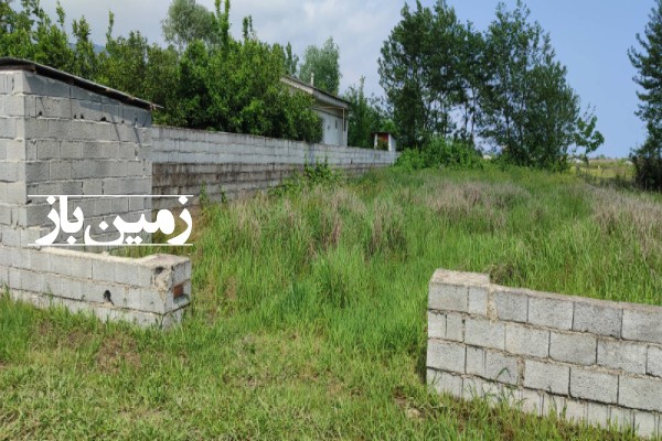 فروش زمین مسکونی شمال ۴۴۶ متر تنکابن سلیمان آباد روستای توکله-3
