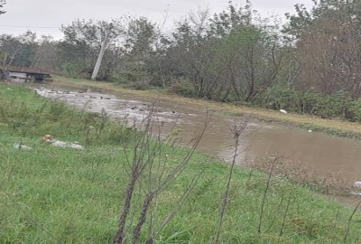 فروش زمین کشاورزی گیلان ۲۰۳ متر آستانه روستای پوشازده