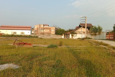 فروش زمین باغ شمال ۲۸۸ متر محموداباد روستای گیلاپه