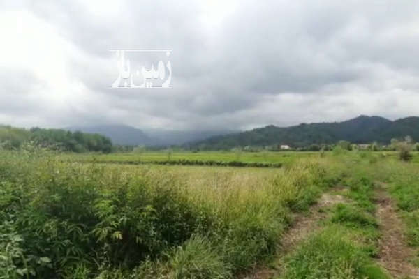 فروش زمین کشاورزی گیلان ۵۲۰۰ متر املش جاده کمربندی رانکوه-1