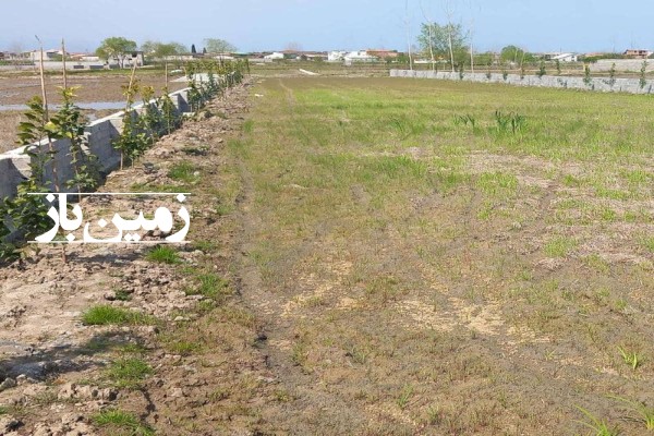 فروش زمین کشاورزی شمال ۱۸۰۰ متر آمل روستای اسکی محله-1