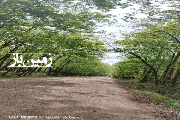 فروش زمین مسکونی گیلان ۱۴۰۰ متر پره‌ سر روستای نوکنده-1