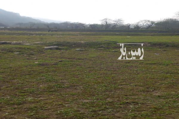 فروش زمین گیلان ۵۲۶ متر ماسال بخش شاندرمن روستای چت بن-1