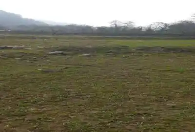 فروش زمین گیلان ۵۲۶ متر ماسال بخش شاندرمن روستای چت بن