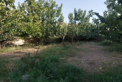 فروش زمین باغ تهران ۲۴۷۰ متر بومهن روستای زردستان