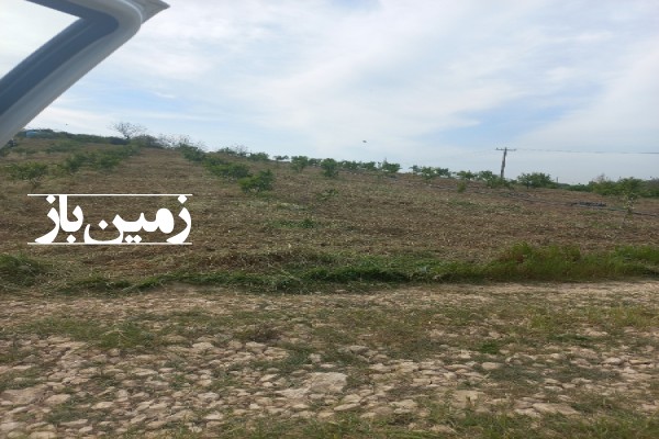 فروش زمین باغ شمال ۴۰۰۰ متر نکا ولیجی محله روستایی-1