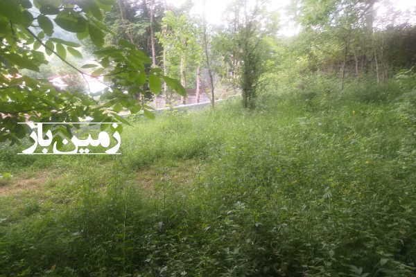 فروش زمین مسکونی شمال ۵۰۰ متر کلاردشت روستای مکارود-1