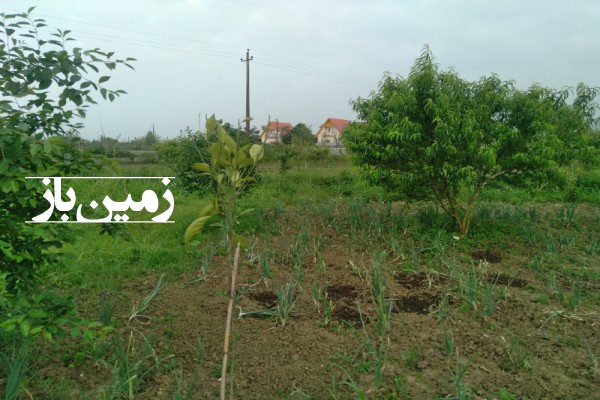 فروش زمین باغ شمال ۵۰۰ متر چمستان جاده سنگتاب روستای شهرک امام-3