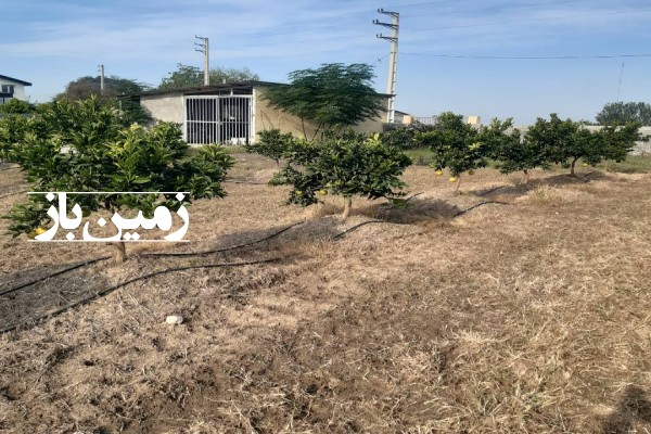 فروش زمین کشاورزی شمال ۱۳۰۰۰ متر جویبار فرح آباد روستای شیرین بل-1