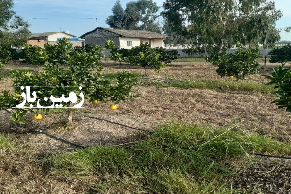 فروش زمین کشاورزی شمال ۱۳۰۰۰ متر جویبار فرح آباد روستای شیرین بل-2