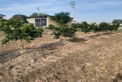 فروش زمین کشاورزی شمال ۱۳۰۰۰ متر جویبار فرح آباد روستای شیرین بل