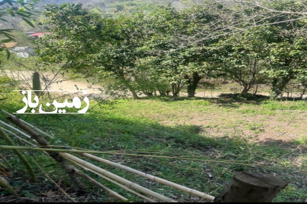 فروش زمین مسکونی گیلان ۴۶۶ متر لاهیجان روستایی-3