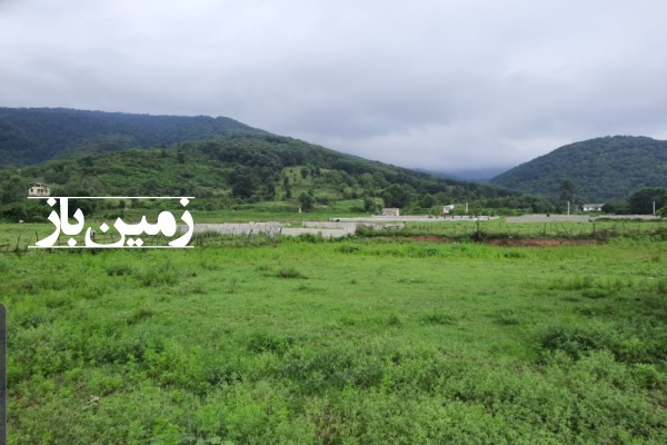 فروش زمین مسکونی گیلان ۵۵۰ متر ماسال روستایی-2