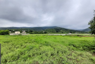 فروش زمین مسکونی گیلان ۵۵۰ متر ماسال روستایی