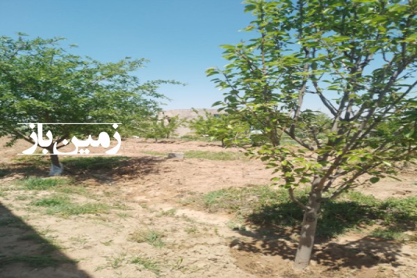 فروش زمین باغ البرز ۱۱۰۰ متر نظرآباد روستایی-1