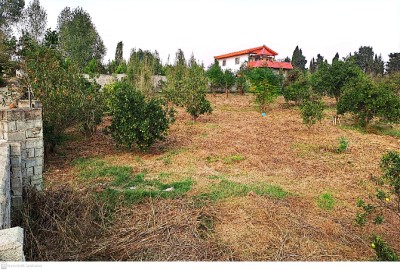 فروش زمین مسکونی باغ شمال ۲۲۷۲ متر گلوگاه بابل روستای میرکتی