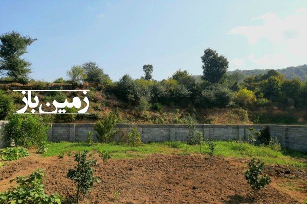 فروش زمین مسکونی شمال ۳۰۰ متر آمل دشت سر روستای بلیران-3