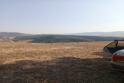 فروش زمین کشاورزی گلستان ۸۰۰۰ متر مراوه‌ تپه روستای چاتال