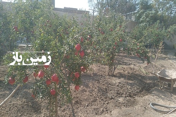 فروش زمین مسکونی تجاری باغ خراسان رضوی ۸۵۲ متر سبزوار روستای ابارش-4