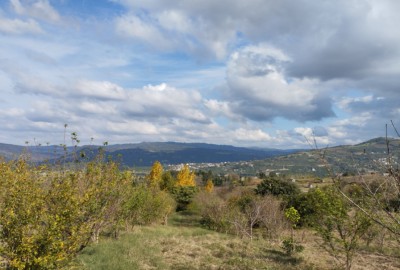 فروش زمین باغ کشاورزی شمال ۱۵۰۰ متر ساری هولار