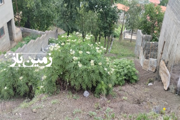 فروش زمین مسکونی شمال ۲۰۰ متر پل سفید جاده دراسله روستای پالند-2