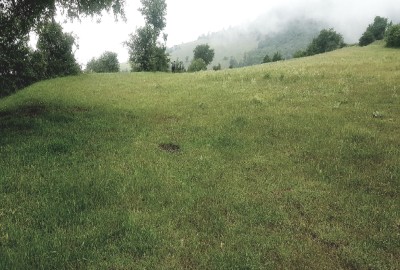 فروش زمین کشاورزی گیلان ۱۰۰۰۰ متر بره‌ سر روستای گردویشه