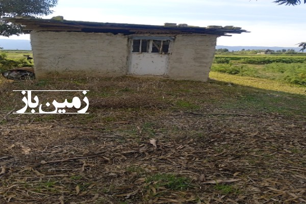 فروش زمین کشاورزی شمال ۷۵۰۰ متر بهشهر نزدیک روستای قره‌ تپه-3