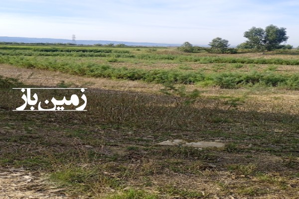 فروش زمین کشاورزی شمال ۷۵۰۰ متر بهشهر نزدیک روستای قره‌ تپه-4