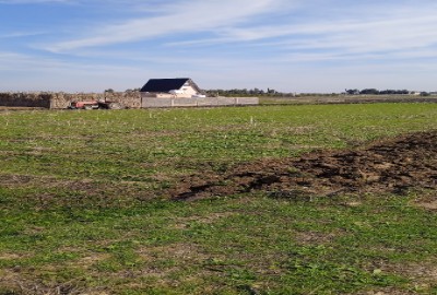 فروش زمین کشاورزی شمال ۷۵۰۰ متر بهشهر نزدیک روستای قره‌ تپه