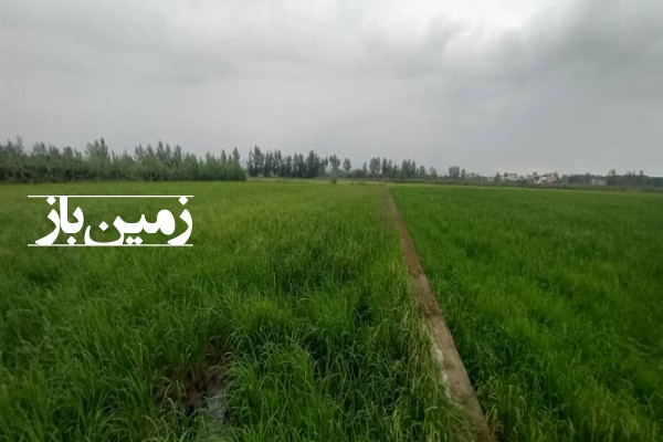 فروش زمین کشاورزی شمال ۵۸۰۰ متر چمستان روستای بریکلا-1