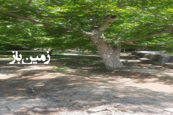 فروش زمین باغ آذربایجان شرقی ۲۰۰۰ متر اسکو روستای باویل سفلا-4