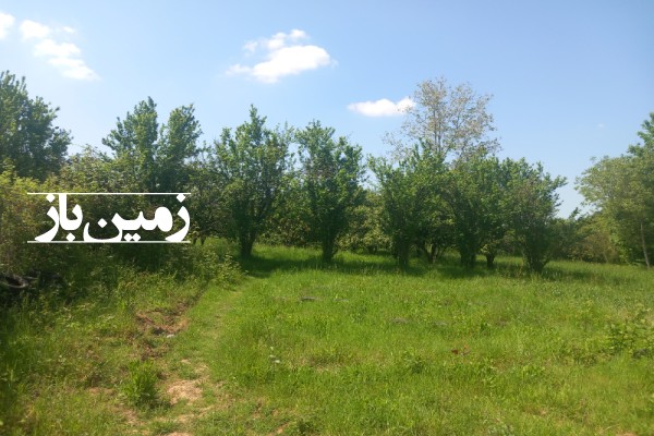 فروش زمین باغ شمال ۵۰۰ متر ساری روستای زرین آباد-2