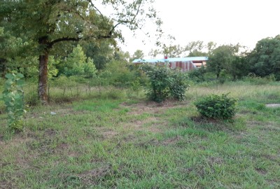 فروش زمین مسکونی گیلان ۱۴۰۰ متر پره‌ سر روستای پیلمبرا