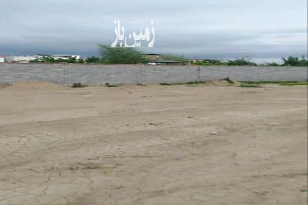 فروش زمین باغ شمال ۲۷۰۰ متر آمل روستای معصوم آباد-1