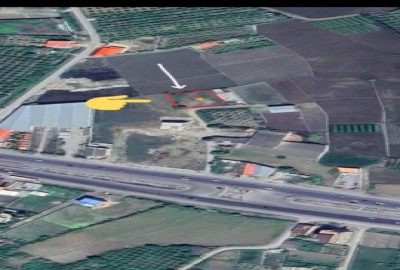 فروش زمین باغ شمال ۹۰۰ متر بین جاده قایمشهر بابل