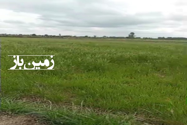 فروش زمین کشاورزی شمال ۵۰۰۰ متر محمودآباد روستای سیارکلاترسیاب-3