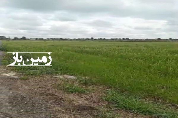 فروش زمین کشاورزی شمال ۵۰۰۰ متر محمودآباد روستای سیارکلاترسیاب-4