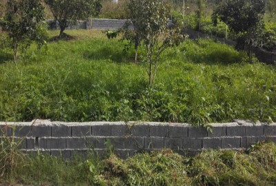 فروش زمین باغ شمال ۳۰۰ متر قائمشهر روستای وسطی کلا