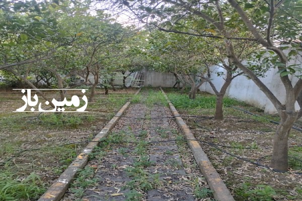 فروش زمین مسکونی شمال ۵۲۰ متر بهنمیر-2