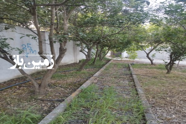 فروش زمین مسکونی شمال ۵۲۰ متر بهنمیر-4