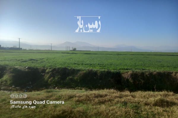 فروش زمین کشاورزی گلستان ۴۹۴ متر مینودشت-2