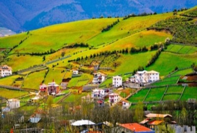 فروش زمین باغ شمال ۱۰۰۰ متر مرزن آباد روستای سنار