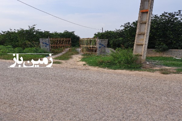 فروش زمین باغ شمال ۱۲۵۰ متر قائمشهر روستای دیودشت-2