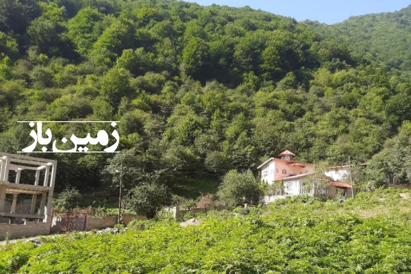 فروش زمین مسکونی شمال ۵۱۰ متر کلاردشت جنگلی-3