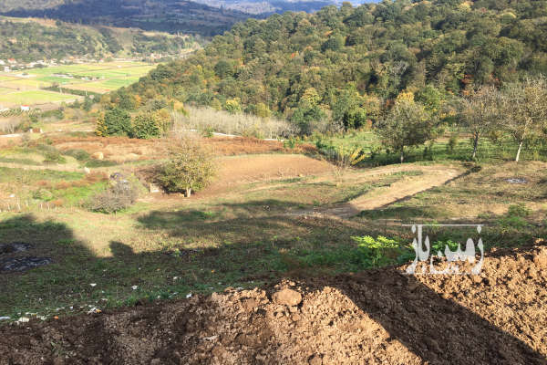 فروش زمین باغ شمال ۵۶۰۰ متر ساری هولار بعد روستای علویکلا-2