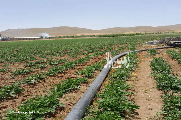 فروش زمین کشاورزی کرمانشاه ۶۳۰۰۰ متر سراب نیلوفر-1